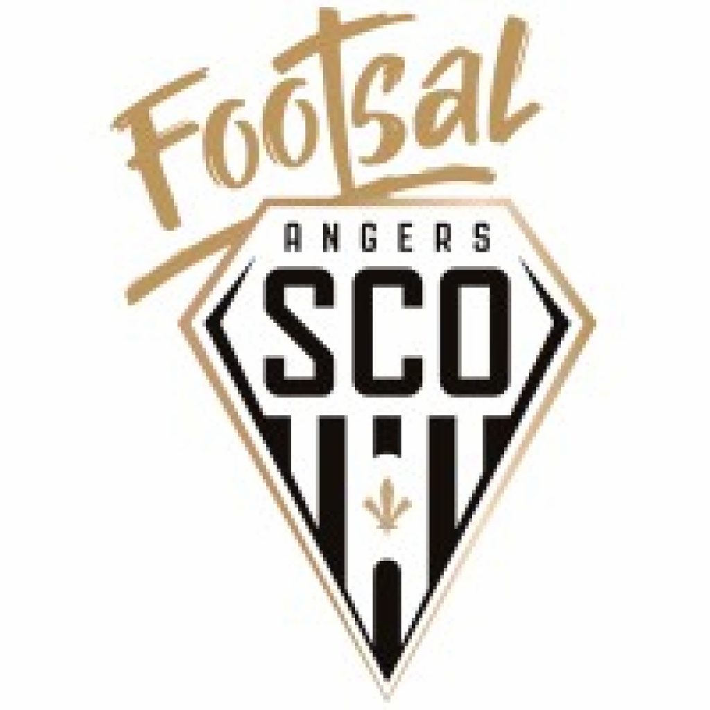 angers-sco-footsal-doinsport